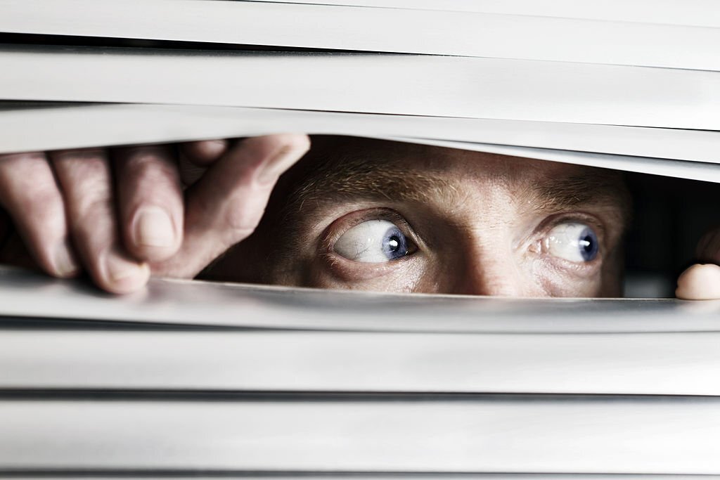 ہوشیار بلا کو دیکھ کر چُھپ جاتا ہے